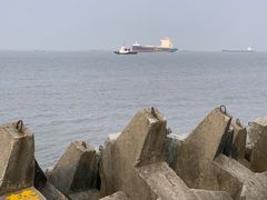 -上海滨江森林公园
