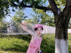 -灞河西岸滨河公园