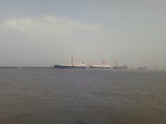 -吴淞炮台湾湿地森林公园烧烤区