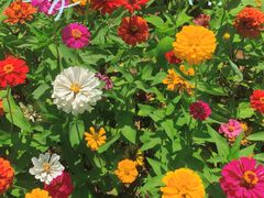 -雅鲁激流探险漂流