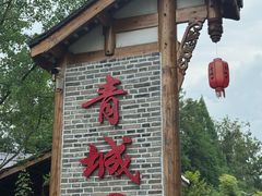 -青城甲(青城山店)