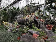 -国家植物园南园