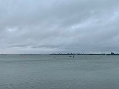 -碧海金沙