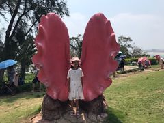 -漳州滨海火山岛自然生态风景区