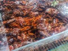 -王四营海鲜市场