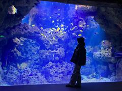 -哈尔滨波塞冬海底世界