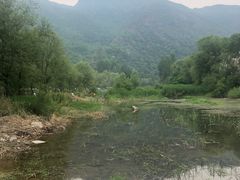 -白河湾生态旅游一条川