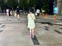 -绿地·中山里