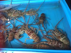 -拉威海鲜市场