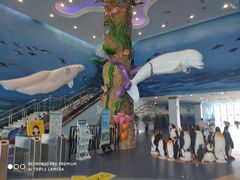 -芜湖新华联大白鲸海洋公园