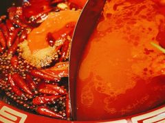-渝小红重庆老火锅(民星公园店)