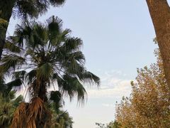 -四川大学(望江校区)