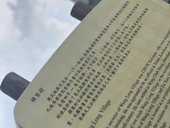 -南丫岛