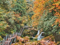 -龙苍沟森林公园