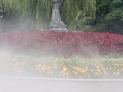 -苏州河梦清园环保主题公园