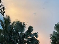 -西双版纳洲际度假酒店-泰傣餐厅