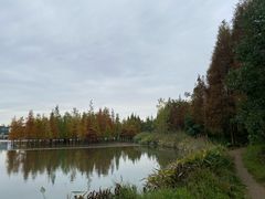 -白鹭湾湿地公园