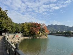 -四明山国家森林公园