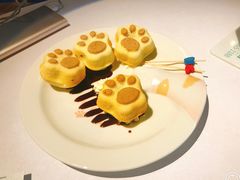 -喵屿·大理花园猫咖