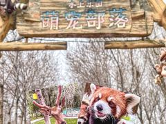 -水上乐园·欢乐世界