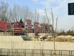 -南宫五洲植物乐园