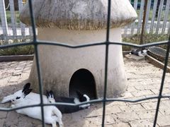 -意大利农场度假村