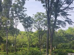 -长广溪湿地公园