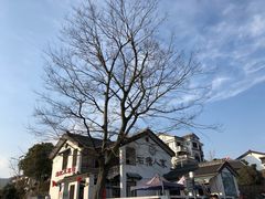 -石塘人家