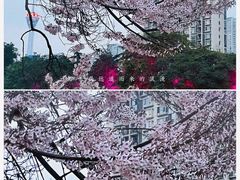 -红星桥(地铁站)