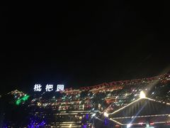 -枇杷园食为鲜火锅(南山店)