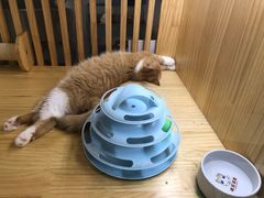 -LELECHA乐乐茶(新街口大洋店)