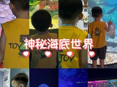 -苏州乐园森林水世界