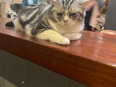 -咖法森林·咖啡  酒吧(天河店)