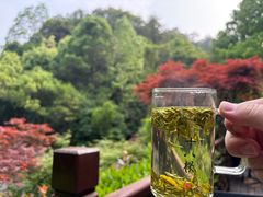 -十八棵（老龙井）御茶园(老龙井店)