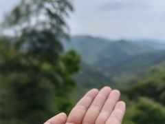 -东明山森林公园