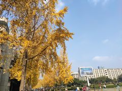 -四川大学(望江校区)