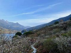 -广州市流溪河国家森林公园