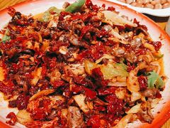 -柴窝堡22号辣子鸡·传承新疆菜