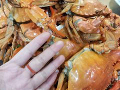 -抹直口特色菜馆(一店)