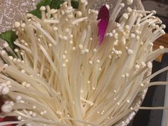 金针菇-朝天门火锅(东城区速八店)