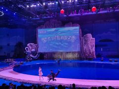 -华夏文旅海洋公园