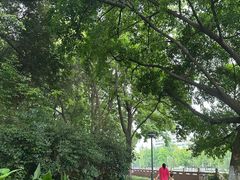 -成都市活水公园