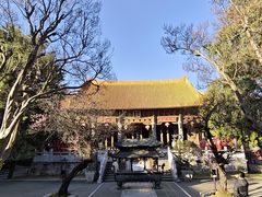 -大理文庙(大理古城)