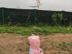 -空港花田景区