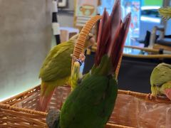 -吾叁·吉趣鸟咖(万科店)