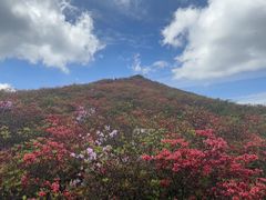 -大围山国家森林公园