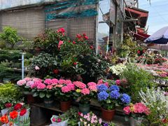 -平吉花卉市场