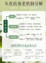 -木北造型