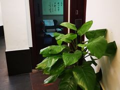 -儒之堂足道·SPA·推拿(莫干山路店)