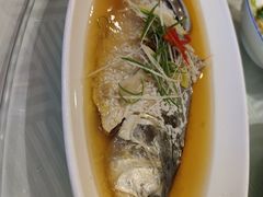 酒酿鲥鱼-江南村酒家
